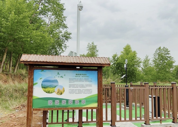 走進(jìn)國家級油菜夏繁基地，感受科技賦能蓬勃動力