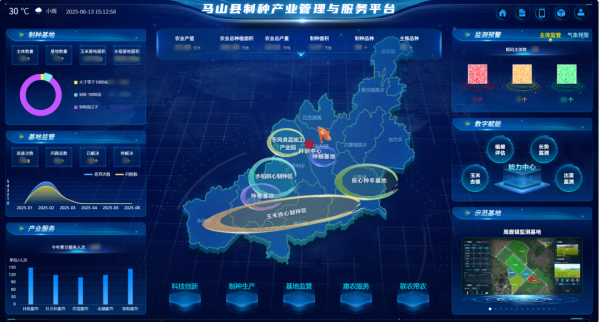 AI+農(nóng)業(yè) | 當(dāng)種子植入“數(shù)智芯片”，馬山縣打造制種基地新標(biāo)桿